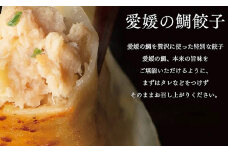 愛媛の鯛ぎょうざ（30個） 簡単調理のお惣菜 （ おかず オカズ  お惣菜 時短料理 中華 大人気 おいしい 美味しい 満腹 まんぷく 国産 小麦粉  一人暮らし 鉄板 時短 簡単 冷凍 愛媛 松山 三津浜 すみれ ）