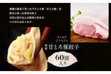 愛媛の甘とろ豚餃子(60個） （ おかず オカズ  お惣菜 時短料理 中華 大人気 おいしい 美味しい 満腹 まんぷく 国産 小麦粉  一人暮らし 鉄板 時短 簡単 冷凍 愛媛 松山 三津浜 すみれ ）