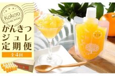 【定期便・年４回】かんきつジュレ定期便　30個×4回
