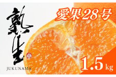 熟生 寿 あいか 1.5kg 愛果28号 愛果 みかん 柑橘 蜜柑 フルーツ 先行予約 松山市 愛媛県 数量限定