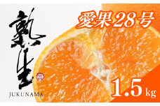 熟生 寿 あいか 1.5kg 愛果28号 愛果 みかん 柑橘 蜜柑 フルーツ 先行予約 松山市 愛媛県 数量限定