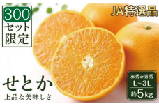 【先行受付】 JAえひめ中央 ★300セット限定★ JA特選品 せとか5kg 赤秀・青秀 いずれかL～3L