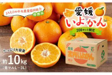 【先行受付】 JAえひめ中央 ★200セット限定★ JA特選品 伊予柑10kg 青マル L～3L