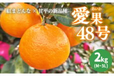 【2026年3月下旬から発送予定】 あいか 愛果48号 2kg 家庭用 期間限定 愛媛県産 みかん 蜜柑 オレンジ 柑橘 果物 フルーツ 家庭用 おすすめ みかん オススメみかん 愛媛県 松山市 愛媛県産みかん ふるーつ 松山市産みかん 家庭用柑橘 ふるさと納税みかん