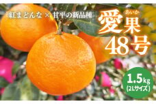 【2026年3月下旬から発送予定】 あいか 愛果48号 約 1.5kg 6玉 特選品 期間限定 |愛媛 松山 みかん ミカン mikan  果物 フルーツ 柑橘 果実 先行予約 中島産 柑橘 ジューシー 愛媛県 松山市