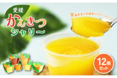 【大人気】 えひめ 柑橘 シャリー 12個 冷凍 氷菓 果汁 シャーベット ゼリー 柑橘 ゼリー みかん加工品 果物ゼリー フルーツ 果物 くだもの 愛媛みかん フローズン みかんシャーベット スイーツ 産地直送 ご当地 愛媛県 松山市