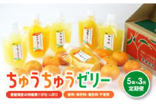 【定期便】 ちゅうちゅうゼリー 定期便 5個×3回  果汁ゼリー 柑橘 ゼリー みかん 果物ゼリー スイーツ 愛媛県 松山市 定期便 果物