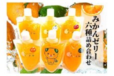 【6種】飲むみかんゼリー 詰め合わせ　愛媛 松山 ギフト 贈答 プレゼント ゼリー ジュース のみくらべ 飲み比べ みかん 詰め合わせ 先行予約 蜜柑 柑橘 果物 くだもの フルーツ お取り寄せ グルメ 期間限定 数量限定 人気 おすすめ 愛媛県 松山市