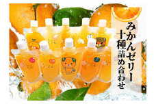 【おまかせ10種】飲むみかんゼリー 詰め合わせ 愛媛 松山 みかん 人気 ギフト 贈答 プレゼント ゼリー ジュース 飲むみかんゼリー のみくらべ 飲み比べ みかん 詰め合わせ 先行予約 蜜柑 みかんゼリー 柑橘 果物 くだもの フルーツ みかんゼリー 期間限定 数量限定 愛媛県 松山市 おすすめ人気 みかんゼリー