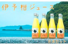 伊予柑ジュース８本セット (愛媛 松山 柑橘 果物 みかん ジュース 伊予柑 みかんジュース 8本 セット ) 人気おすすめ