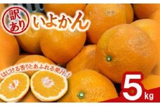 【先行予約】 訳あり 伊予柑 5キロ 【1月中旬~発送予定】  |  みかん ミカン 蜜柑 mikan 柑橘 いよかん イヨカン ワケアリ 家庭用 ふるさと納税みかん ふるさと納税訳ありみかん フルーツ 果物 愛媛県 松山市