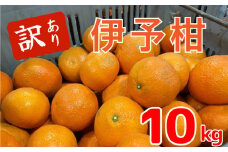 【1月中旬から発送予定】伊予柑10キロ （訳あり） | いよかん みかん 伊予柑 みかん いよかん 伊予柑 訳あり みかん 10kg 柑橘 