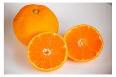 ＜6月中旬～8月中旬発送予定＞ ハウスみかん 5kg（赤秀）