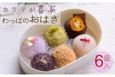 わっぱおはぎ おまかせ6個セット | 和菓子 おはぎ 手作り 和菓子 甘味 ギフト プレゼント 母の日  愛媛県 松山  