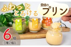 愛媛のプリンセット　6本入 プリン お菓子 抹茶 みかん デザート 愛媛県 松山市