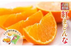  紅まどんな 約3kg 【先行予約】【 11月中旬から発送 】＜ JA正規 化粧箱 ＞ 【 秀品 限定 】紅まどんな 紅まどんな 紅まどんな 紅まどんな 愛媛県松山市