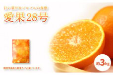 【 11月中旬から頃発送 】 愛果28号 ＜ 秀品 ＞ 約3kg ( 贈答用高級 化粧箱入り )  |  愛果28号 あいか みかん 愛果28号 あいか 柑橘 みかん 愛果28号