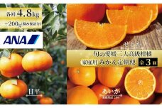 【12月上旬から発送】ANA「農園プロジェクト」【みかん定期便 全3回】旬の愛媛三大高級柑橘 家庭用 愛果28号 せとか 甘平 | 柑橘 みかん 果物 くだもの フルーツ おすすめ 高級 人気 お取り寄せ グルメ ギフト 期間限定 数量限定 ご当地 愛媛県 松山市