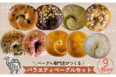 春メニュー！ ベーグル 専門店 BAGELラクダピクニック バラエティベーグル  9個 セット | パン ベーグル 国産 季節限定 時期限定 焼き立て 詰め合わせ 愛媛 松山
