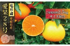 【先行予約】【11月中旬から発送】 あいか ご家庭用 2.5kg | 愛果28号 ※ 紅まどんな と同一品種  みかん ミカン 蜜柑 果物 くだもの フルーツ 高級 贈答 ギフト 贈り物 柑橘 柑橘類 かんきつ 愛媛果試第28号 常温 国産 愛媛 愛媛県 松山市