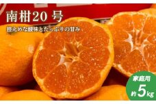 【12月中旬頃より発送】みかん ( 南柑20号 ) 約 5kg 柑橘 果物 フルーツ 松山市 愛媛県