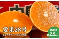 【先行予約12月上旬頃より発送】 愛果28号 約2.5kg 家庭用 |  愛果28号 ※ 紅まどんな ( べに まどんな ) と同一品種 果物 くだもの 柑橘 みかん あいか 愛果 紅マドンナ マドンナ まどんな 紅まどんな 高級 人気 愛媛県 松山 田村農園