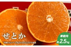 【2月下旬頃より発送】 せとか 約 2.5kg 家庭用 ( みかん せとか  柑橘  家庭用 みかん 1kg 以上 おすすめ 松山市産せとか 柑橘の大トロ「せとか」 柑橘 みかん ミカン せとか 優品せとか ふるさと納税せとか みかん 柑橘 田村農園のせとか ふるさと納税みかん セトカ おススメのせとか 家庭用柑橘 ご家庭用みかん 御家庭用せとか )