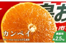 【2月上旬頃より発送】 甘平 約 2.5kg 【家庭用】 カンペイ 甘平 みかん 柑橘 果物 フルーツ 松山市 愛媛県 愛媛県産甘平 かんぺい みかん 幻の柑橘 人気の甘平 田村農園の甘平【TMN101】