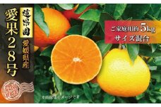 【先行予約】 【11月下旬から発送】 あいか ご家庭用 5kg 愛果28号 | 柑橘 みかん 果物 くだもの フルーツ おすすめ 高級 人気 お取り寄せ グルメ ギフト 期間限定 数量限定 ご当地 愛媛県 松山市