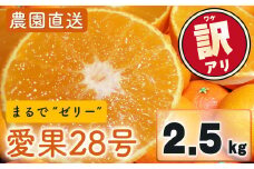 【先行予約】 訳あり 家庭用 愛果28号 2.5kg (約6～15個) 光センサー選別 【11月下旬～12月下旬発送】  訳あり 不揃い 柑橘 果物 フルーツ あいか みかん 松山市 愛媛県