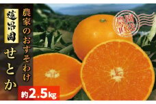 【2026年2月下旬から発送予定】  せとか B品 家庭用2.5kg |みかん 蜜柑 柑橘 甘い 高級 先行 予約 果物 フルーツ おすすめ 人気 愛媛 松山