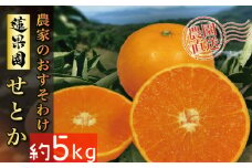 【先行予約】 【2026年2月下旬から発送予定】 せとか B品 家庭用 5kg | 愛媛産 愛媛県産 国産 愛媛みかん 愛媛蜜柑 愛媛ミカン みかん ミカン mikan 蜜柑 柑橘 フルーツ 果物 くだもの お取り寄せ 産地直送 数量限定 人気 おすすめ 愛媛県 松山市 送料無料
