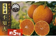 【先行予約】 【2026年2月下旬から発送】不知火（デコポンと同一品種） B品 家庭用 5kg | 愛媛産 愛媛県産 国産 愛媛みかん 愛媛蜜柑 愛媛ミカン みかん ミカン mikan 蜜柑 柑橘 フルーツ 果物 くだもの お取り寄せ 産地直送 数量限定 人気 おすすめ 愛媛県 松山市 送料無料