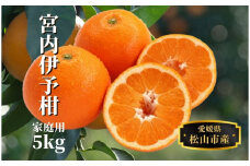 【宮内伊予柑】 家庭用 約5kg ＜2026年2月~3月中旬頃発送＞ みかん 柑橘 フルーツ 伊予柑 果物 愛媛 松山