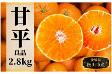 【甘平】約2.8ｋｇ（良品） ＜2月頃発送 ＞ みかん ブランド 柑橘 フルーツ 果物 愛媛 松山