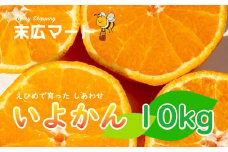 【2026年1月下旬ごろ順次発送】 伊予柑 いよかん 約 10kg 愛媛 興居島 柑橘 糖度 別名 宮内伊予柑