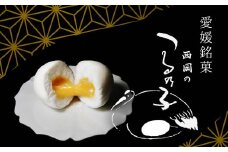 【紅白つるの子】西岡菓子舗のつるの子 幻の愛媛銘菓 12個入 贈答にも