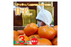 【愛媛県産】甘平 約3kg 訳あり  ＜2025年1月下旬～発送予定＞ 柑橘 みかん 果物 くだもの フルーツ おすすめ 高級 人気 お取り寄せ グルメ ギフト 家庭用 期間限定 数量限定 ご当地 愛媛県 松山市