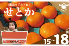 【愛媛県産】せとか 15個~18個入り ( サイズ：4L~3L ) ＜2月下旬～発送予定＞ 柑橘 みかん せとか セトカ 果物 くだもの フルーツ おすすめ 高級 柑橘の大トロ「せとか」 人気 お取り寄せ グルメ ギフト せとか 期間限定 数量限定 ご当地 愛媛県 松山市 たかぎ果樹園 松山市産せとか 柑橘 ふるさと納税せとか たかぎ果樹園のせとか