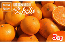 ＜ご家庭用＞ 2月中旬から順次発送 せとか 5 kg | 訳あり 蜜柑 高級 果物 甘い フルーツ みかん ミカン オレンジ 柑橘 食べて応援 特産品 愛媛 松山