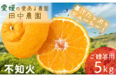 不知火 しらぬい 約5kg  ご贈答用【2月下旬から順次発送】でこぽんと同品種 柑橘類 先行予約 フルーツ 柑橘類 先行予約 果物 フルーツ みかん シラヌイ 人気 おすすめ 愛媛 松山 田中農園