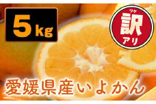 【先行予約】訳あり 愛媛県産 宮内いよかん 5kg | 【1月上旬～2月下旬発送】 宮内伊予柑 いよかん 蜜柑 伊予柑 わけあり 家庭用 柑橘 みかん ミカン mikan フルーツ 果物 かんきつ くだもの 甘い 甘み 酸味 ジューシー 果汁 果肉 秀品 数量限定 期間限定 旬 お取り寄せ グルメ みかん 産地直送 農家直送 国産 愛媛県 松山市
