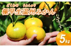 【10月から発送】 極早生 温州みかん 5kg ごくわせ みかん 数量限定 みかん 愛媛県産 みかん 松山市 みかん 中島 みかん 栽培中農薬不使用 みかん 蜜柑 みかん ミカン みかん 有機栽培 みかん 旬 みかん 新鮮 みかん 【お贈り物にもおすすめ】