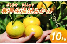 【10月から発送】 極早生 温州みかん 10kg ごくわせ みかん 数量限定 みかん 愛媛県産 みかん 松山市 みかん 中島 みかん 栽培中農薬不使用 みかん 蜜柑 みかん ミカン みかん 有機栽培 みかん 旬 みかん 新鮮 みかん 【お贈り物にもおすすめ】