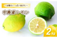 【2025年11月から発送】 レモン 2kg ( 14〜 18玉 )
