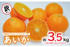訳なし！高級 みかん あいか 愛果28号 約3kg＋傷み補償500g ＜11月中旬～発送＞ 数量限定 愛媛産 愛媛県産 国産 高級 みかん ミカン mikan 蜜柑 愛果28号 柑橘 フルーツ 果物 くだもの お取り寄せ 人気 おすすめ 愛媛県 松山市 送料無料