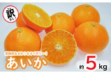 訳なし！ 高級 みかん あいか 愛果28号 約5kg ＜11月中旬～発送＞ 数量限定 愛媛産 愛媛県産 国産 高級 みかん ミカン mikan 蜜柑 愛果28号 柑橘 フルーツ 果物 くだもの お取り寄せ 人気 おすすめ 愛媛県 松山市 送料無料