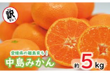 みかん 約 5kg 中島みかん ⻘丸＜11月中旬～発送＞ みかん ミカン mikan  柑橘 フルーツ 果物  愛媛県 松山市 送料無料