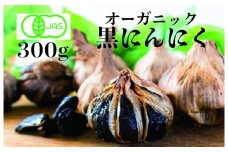 【11月～4月】【農薬不使用】有機黒にんにく150g x 2パック 黒にんにく 黒にんにく 美肌 黒にんにく ダイエット 黒ニンニク
