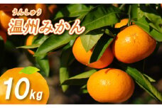 【2025年11月上旬から発送】 温州みかん 10kg